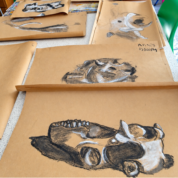 ANIMAL SKULLS - CHALK AND CHARCOAL DRAWING