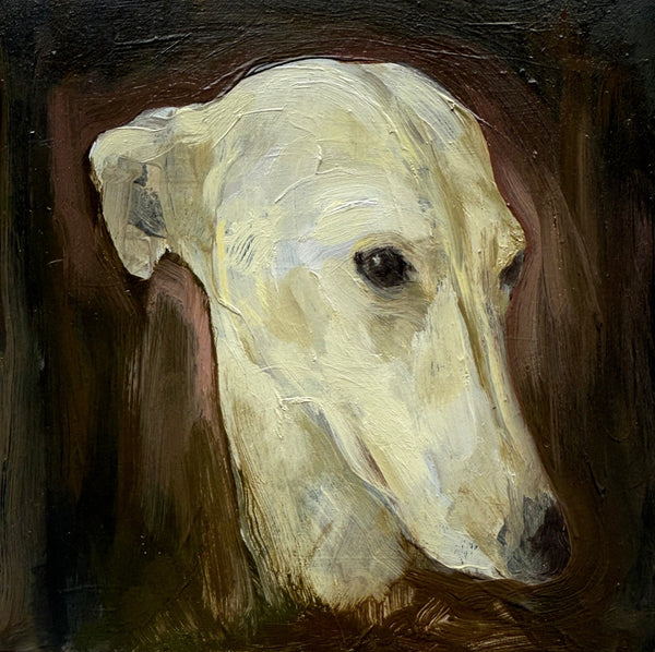 WHIPPET HEAD - Oil Painting