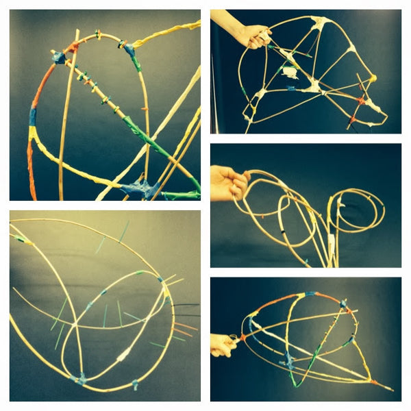 NATURAL FORMS - WITHY SCULPTURE
